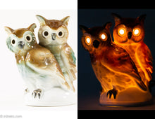 Load image into Gallery viewer, VINTAGE PORCELAIN TWO WISE OWL BIRDS /SCENTED OIL DIFFUSER/PERFUME LAMP/NIGHT LIGHT