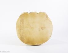 Load image into Gallery viewer, RARE "MOPSY" RAGGEDY ANN HOLDING GINGERBREAD MAN/DOLL COOKIE JAR