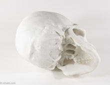 Load image into Gallery viewer, REALISTIC WHITE RESIN LIFE-SIZE HUMAN SKULL MODEL/FIGURE