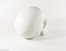 Load image into Gallery viewer, REALISTIC WHITE RESIN LIFE-SIZE HUMAN SKULL MODEL/FIGURE