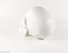 Load image into Gallery viewer, REALISTIC WHITE RESIN LIFE-SIZE HUMAN SKULL MODEL/FIGURE
