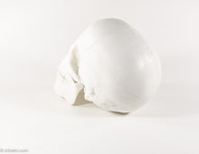 Load image into Gallery viewer, REALISTIC WHITE RESIN LIFE-SIZE HUMAN SKULL MODEL/FIGURE