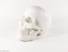 Load image into Gallery viewer, REALISTIC WHITE RESIN LIFE-SIZE HUMAN SKULL MODEL/FIGURE