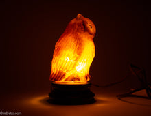Load image into Gallery viewer, EXTREMELY RARE CONSOLIDATED/PHOENIX/TIFFIN/U.S. GLASS FIGURAL GLASS OWL LAMP WITH ORIGINAL BLACK GLASS BASE
