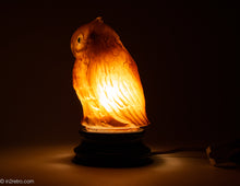 Load image into Gallery viewer, EXTREMELY RARE CONSOLIDATED/PHOENIX/TIFFIN/U.S. GLASS FIGURAL GLASS OWL LAMP WITH ORIGINAL BLACK GLASS BASE
