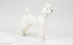 BESWICK ENGLAND WHITE POODLE DOG BONE CHINA GRAHAM TONGUE FIGURINE/STATUE