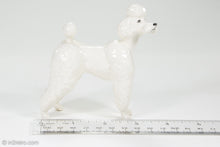 Load image into Gallery viewer, BESWICK ENGLAND WHITE POODLE DOG BONE CHINA GRAHAM TONGUE FIGURINE/STATUE
